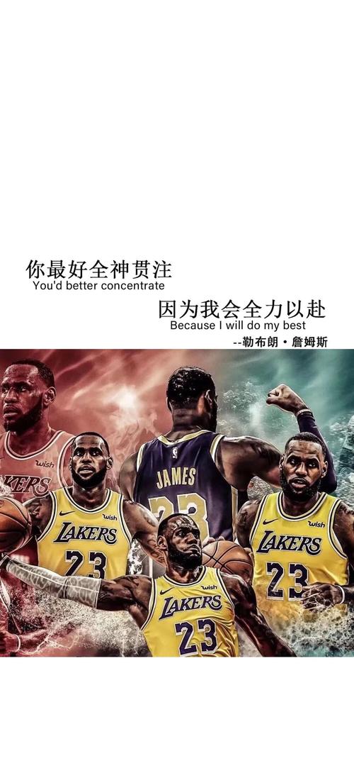 备受赞誉